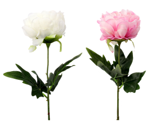 Pivoňka 37 cm color