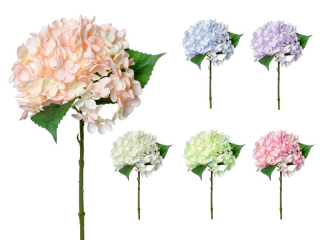 Hortenzie 32 cm color