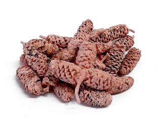 Birch pine 250 g růžová