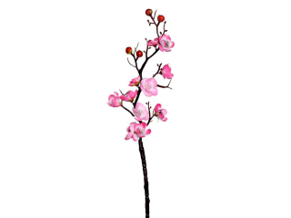 Větev švestka růžová 60cm