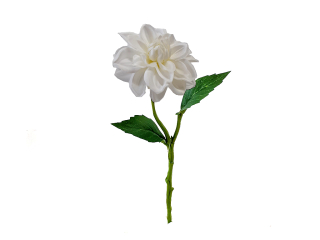 Jiřina 30 cm bílá