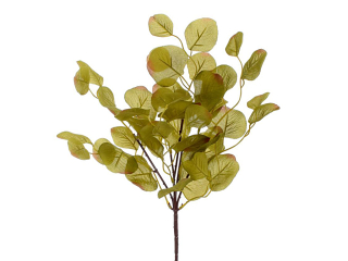 Eucalyptus 50 cm olivový