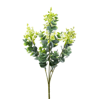 Eucalyptus bílé bobulky kvítky 34 cm