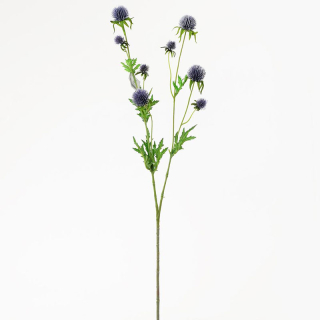 Eryngium modré 71 cm