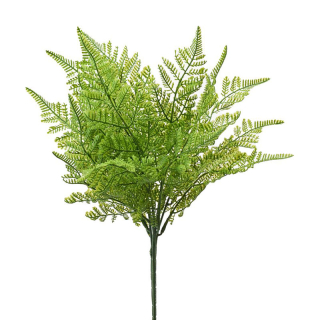 Kapradina tmavězelená 48 cm