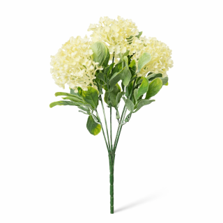 Viburnum 5 květů 30 cm krémové