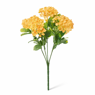 Viburnum 5 květů 30 cm oranžové