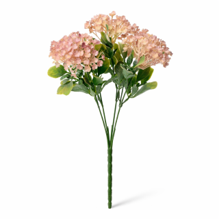 Viburnum 5 květů 30cm růžové