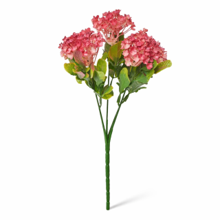 Viburnum 5 květů 30 cm červené