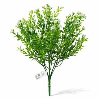 Eucalyptus bílý kvítek 27 cm