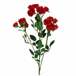 Růže trsová 70 cm červená