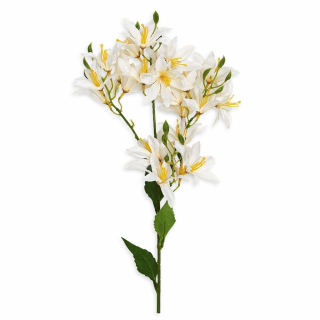 Lilie větev 66 cm šampaň