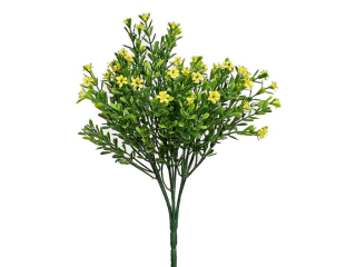 Eucalyptus žlutý kvítek 27 cm