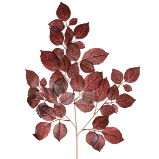 List ficus červený 56 cm