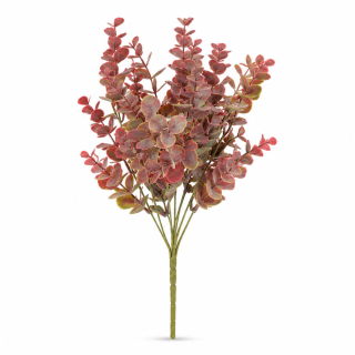 Eucalyptus 36 cm fialový