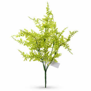 Kapradina světle zelená 36 cm