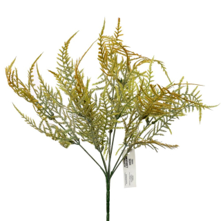 Kapradina oranžová 37 cm