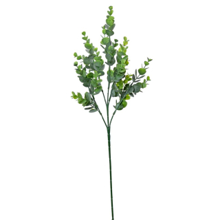 Eucalyptus 57 cm zelený