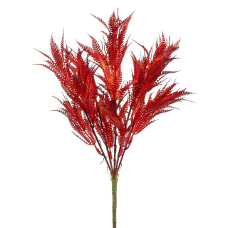 Kapradina bordó 40 cm