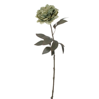 Pivoňka 68 cm zelená