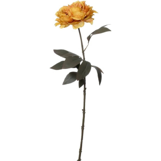 Pivoňka 68 cm žlutá