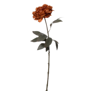 Pivoňka 68 cm hnědá