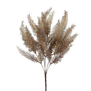 Asparagus 37 cm hnědý