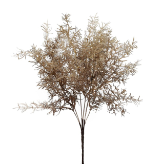 Asparagus 56 cm hnědý