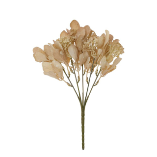 Viburnum 5 květů 30 cm béžová