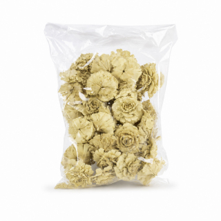 Cedar rose 30 ks bělený
