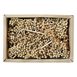 Canella small 35 ks naturál
