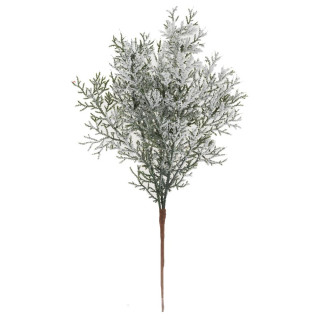Větev thuje 38 cm zasněžená