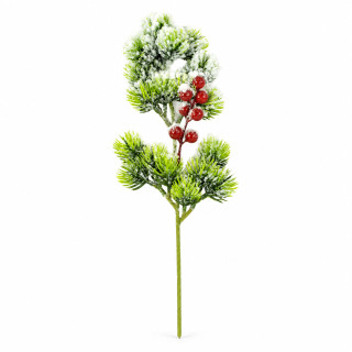 Větev borovice s bobulemi 33 cm zasněžená