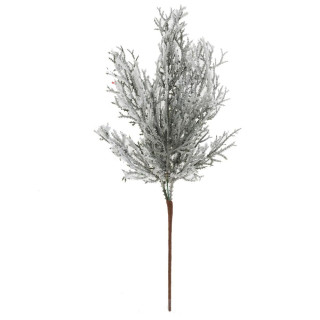 Větev thuje 36 cm zasněžená