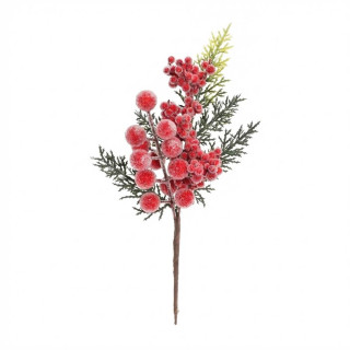 Větvička thuje s červenými bobulemi 30 cm